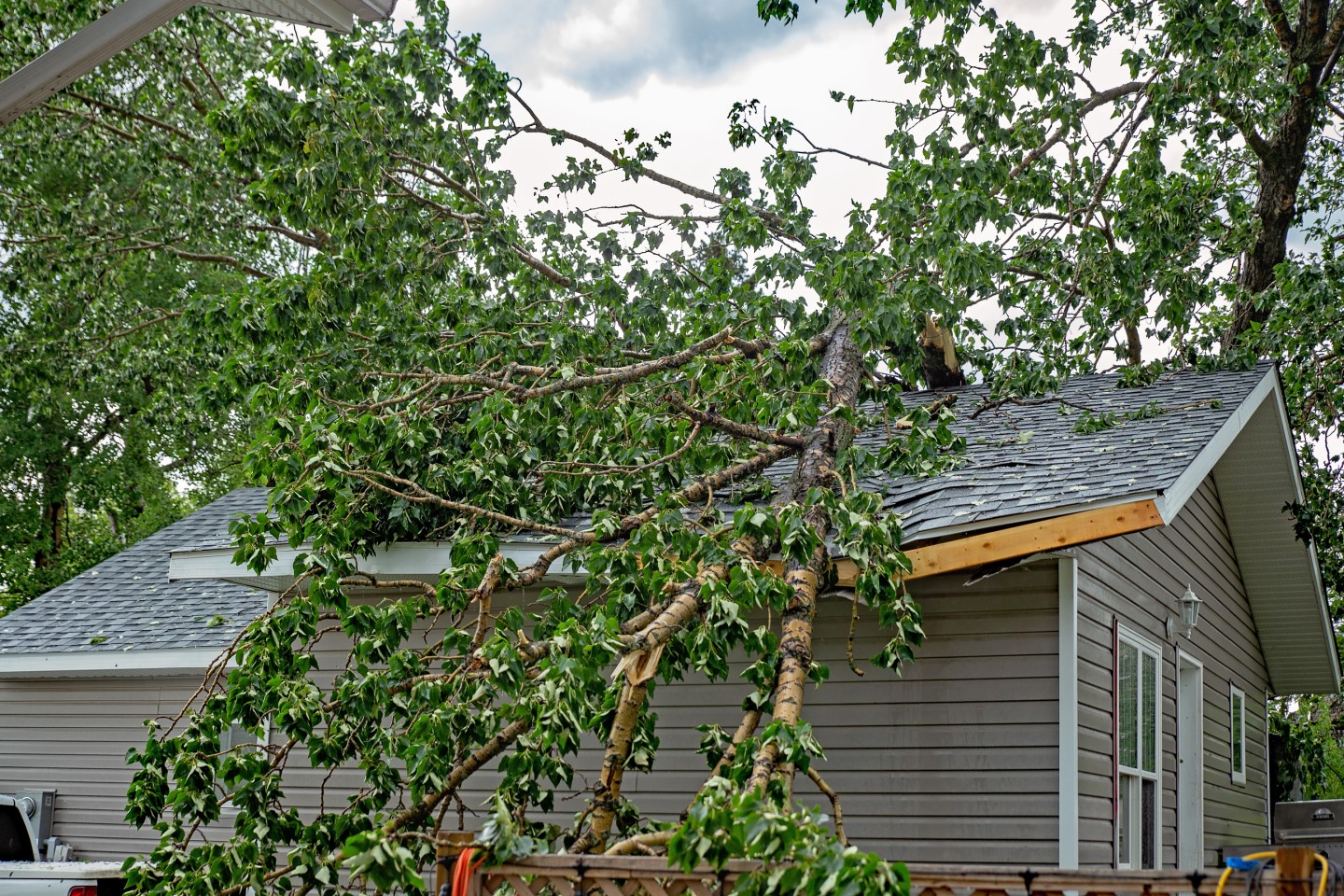 storm damage